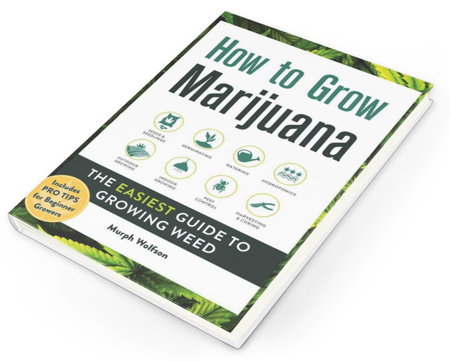How To Grow Marijuana